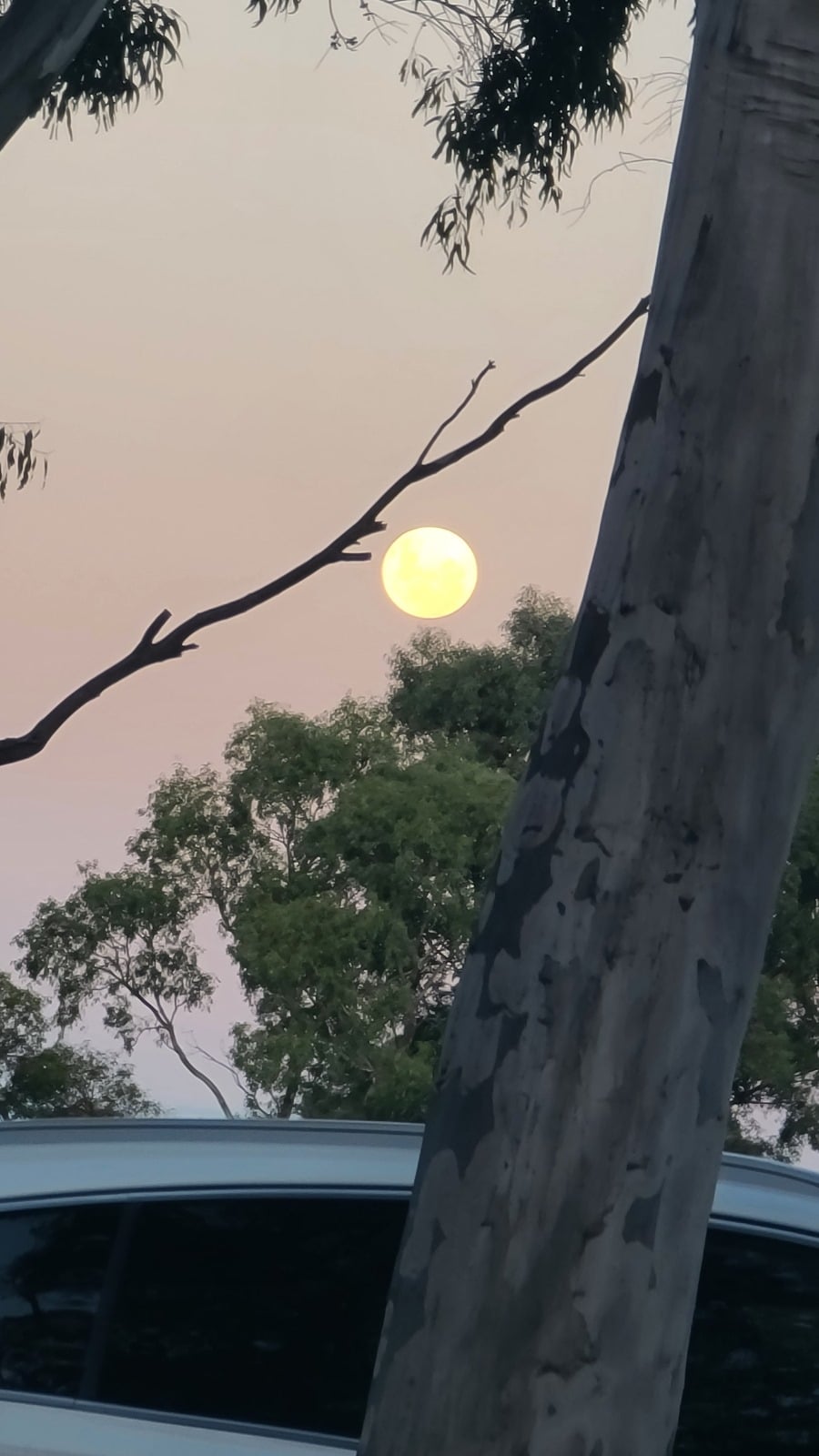 Finding clarity in purpose